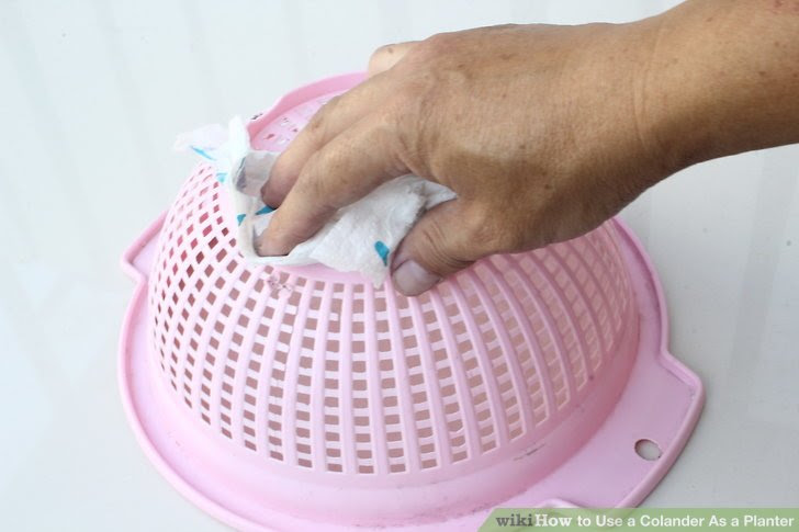 Use a Colander As a Planter Step 1.jpg