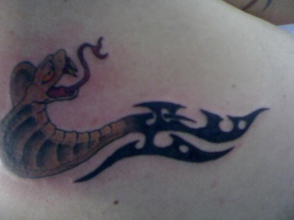 snake tattoos