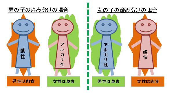 食事による産み分け 妊娠したい 私はこれで妊娠しました