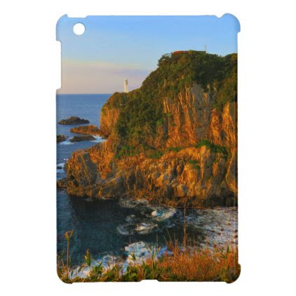 201,721 art world most famous top photographer art iPad mini case