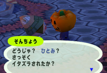 とびだせどうぶつの森ブログ いこうよおいでよあぶく村