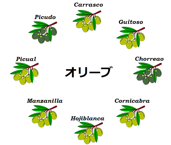 Psmj オリーブの種類