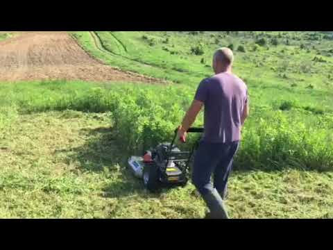 Слика
