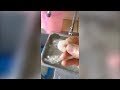Video : Udang Palsu Masuk KL?
