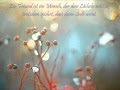 Zitate Und Sprüche Blumen