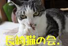 長崎猫の会.