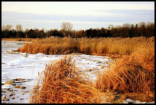 winter