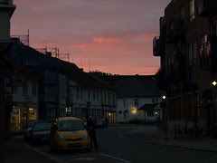 CRW_5869
