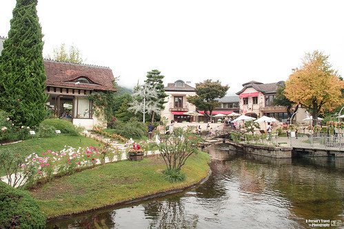2013_Autumn_Tokyo_Japan-48