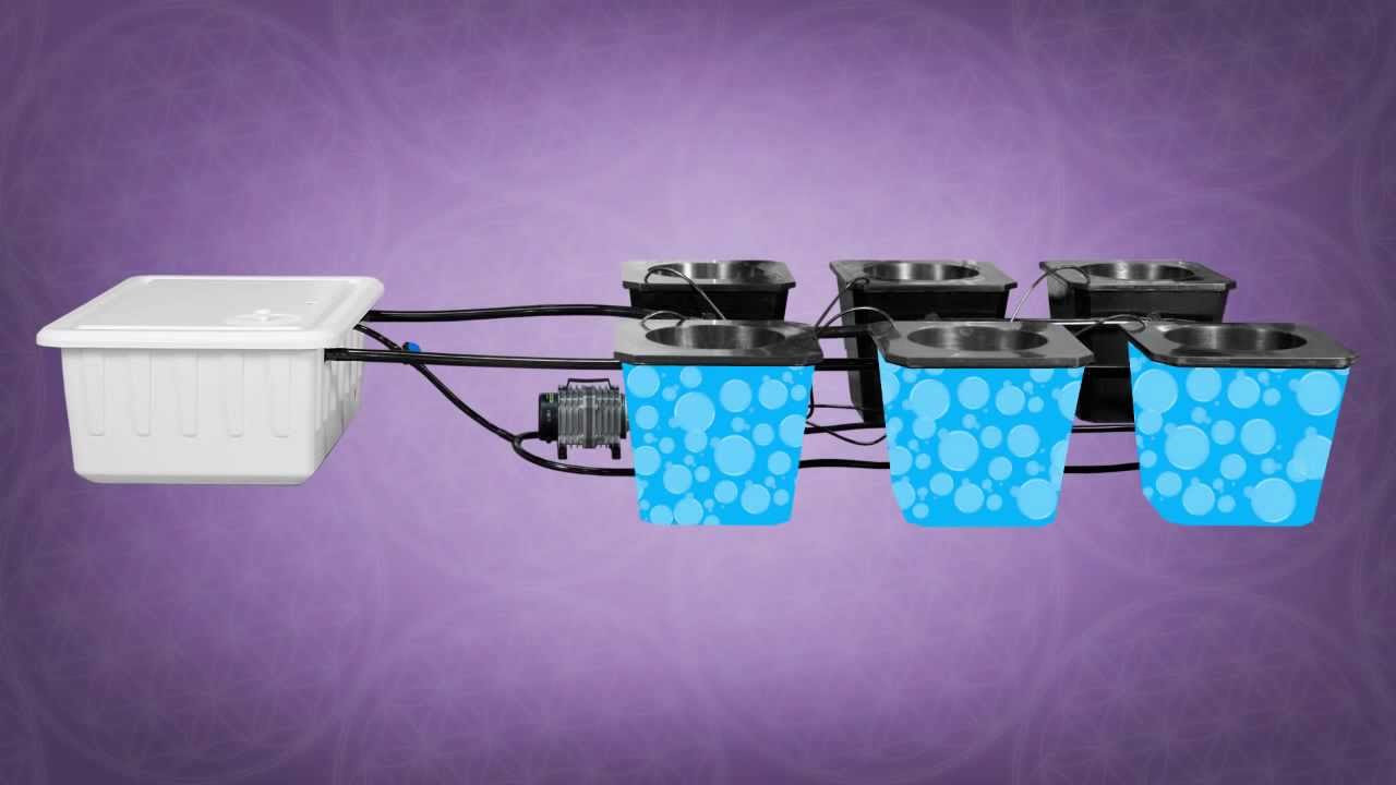 Hydroponic Bubble Buckets | Best Hydroponic Bucket System | Super ...