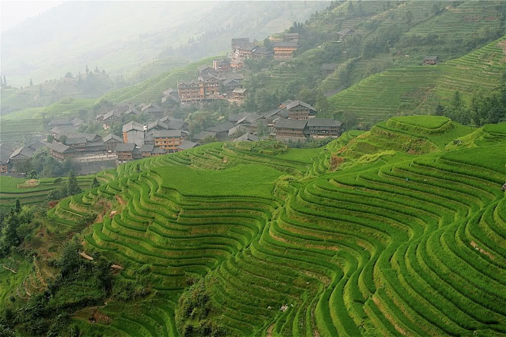 Rizieres en terrasses de Longji Sud Chine