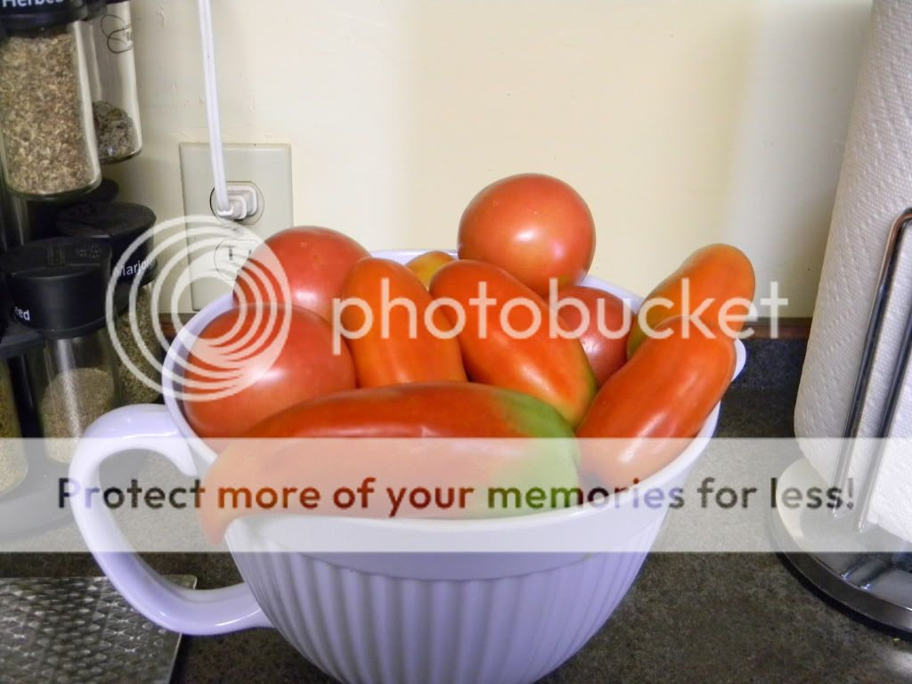 Arkansas Traveler and Pittman Valley