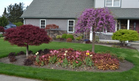 Landscaping Ideas. What Plant Goes Where in the Landscape?