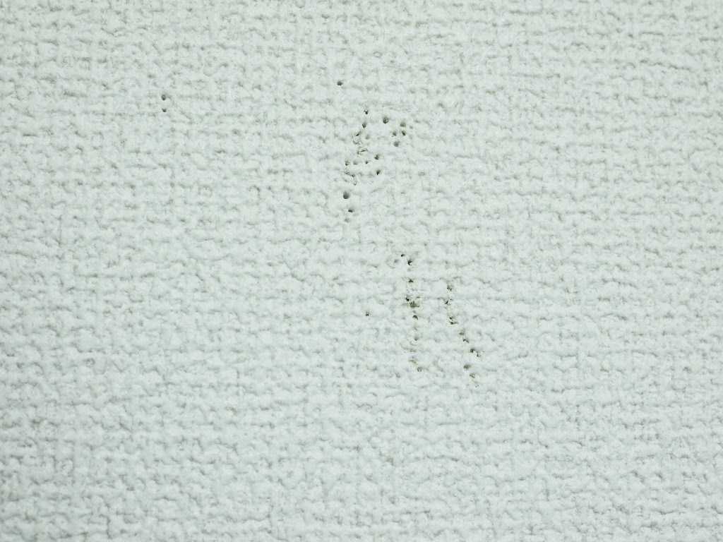 100円ショップの紙粘土で賃貸マンションの画鋲の穴を埋めるワザ 引越し話