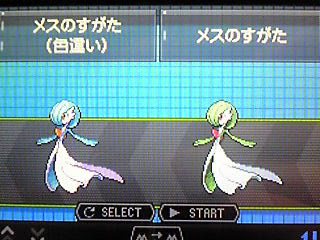 September Rain 色違いポケモン捕獲 色違いｎｏ 011 サーナイト
