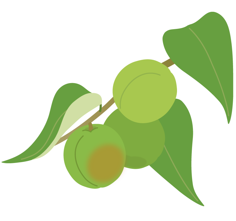 6月 ふでこや 無料イラスト