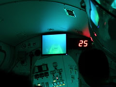 P4256391