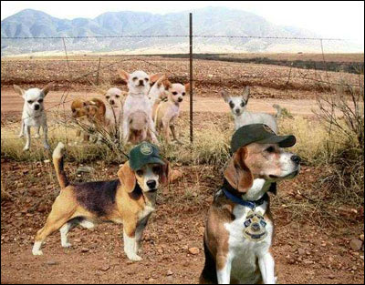US Border Patrol Overview