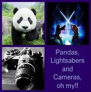 Pandas Lightsabers and Cameras oh my