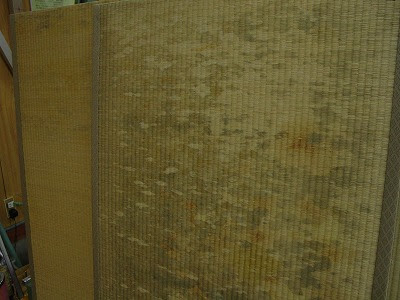 畳にカビがァ 畳のカビ対処法 畳ライフスタイルから畳報 情報 畳ライフスタイルのぶろぐ