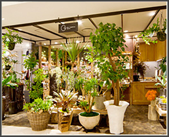 コンセプトはthe One And Only 厳選 大阪で見つけた素敵なお花屋さん Osaka Flowershop Navi