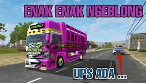 Mod Truck Isuzu Nmr 71