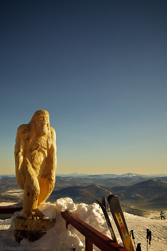 Big Yeti