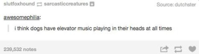 Hilarious Animal Posts on Tumblr