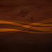 Owl Twitter Background