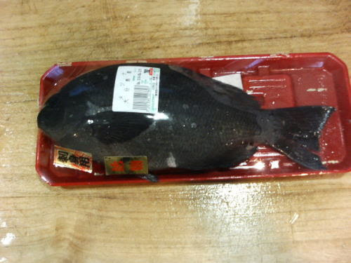 目仁奈 メジナ のおろし方 捌き方 姿造り用 その１ 魚料理と簡単レシピ