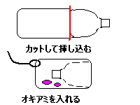 子供との磯釣りと磯遊び ちょピッと参考に