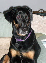 Lola_32909