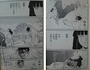 角界がこんな時だからこそ 陸奥圓明流外伝 修羅の刻 第１５巻 雷電編 のレビューです 笑 あそコロ 新館