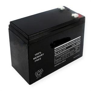 12 Volt 10 Ah Rechargeable Battery