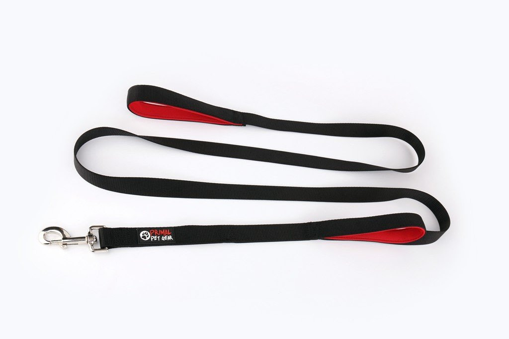 Amazon.com : Dog Leash 2 Handles - BLACK - Extra Long 8-ft Lead ...