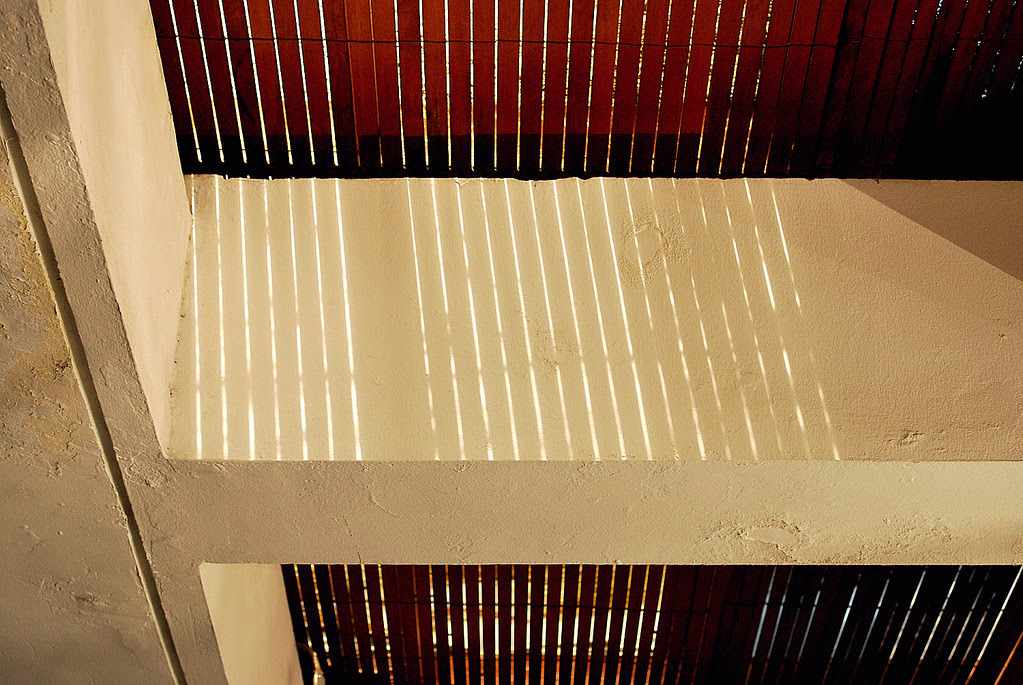 sunlight lines