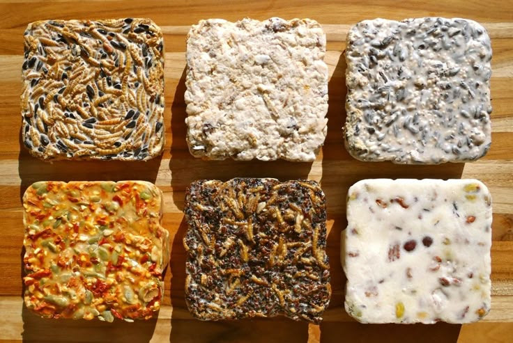 Homemade suet cakes for the birds  Outside  Pinterest