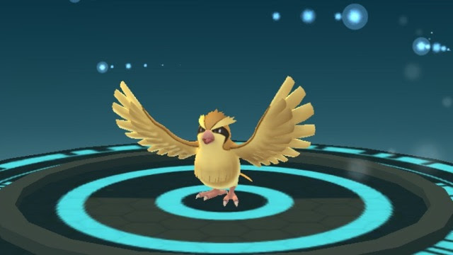 ポケモンgo 進化アニメーション時間短縮でポッポマラソン効率が爆上げ 雑魚乱獲時代へ ポケモンgo攻略まとめ速報