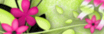 Scrapbookgraphics