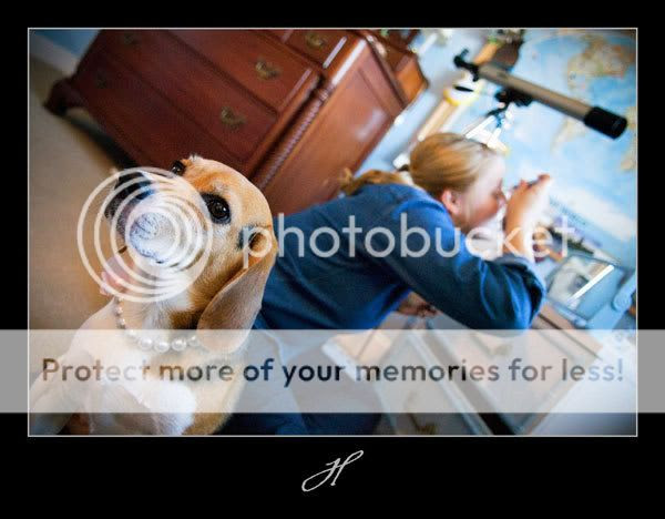 Photobucket - Video and Image Hosting