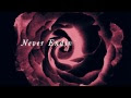 VIDEO, LETRA Y TRADUCCION