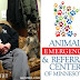 North St Paul Pet Hospital - Paul pet hospital is one of the best animal hospitals in the twin cities.