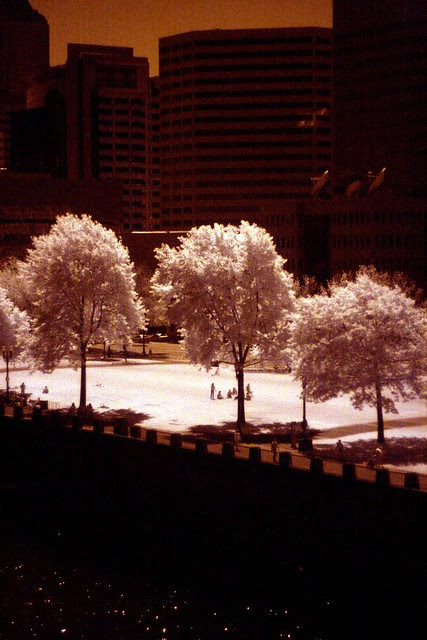 Waterfront Park, IR, May 2010