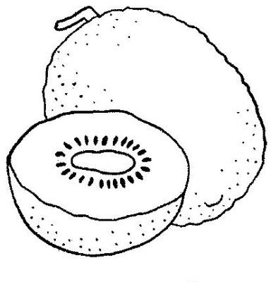 Kiwi Dessin