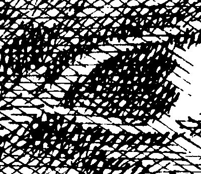 Tinkelman58.detail04