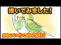 [最も人気のある！] 可愛い インコのイラスト 452699-インコのイラスト 可愛い