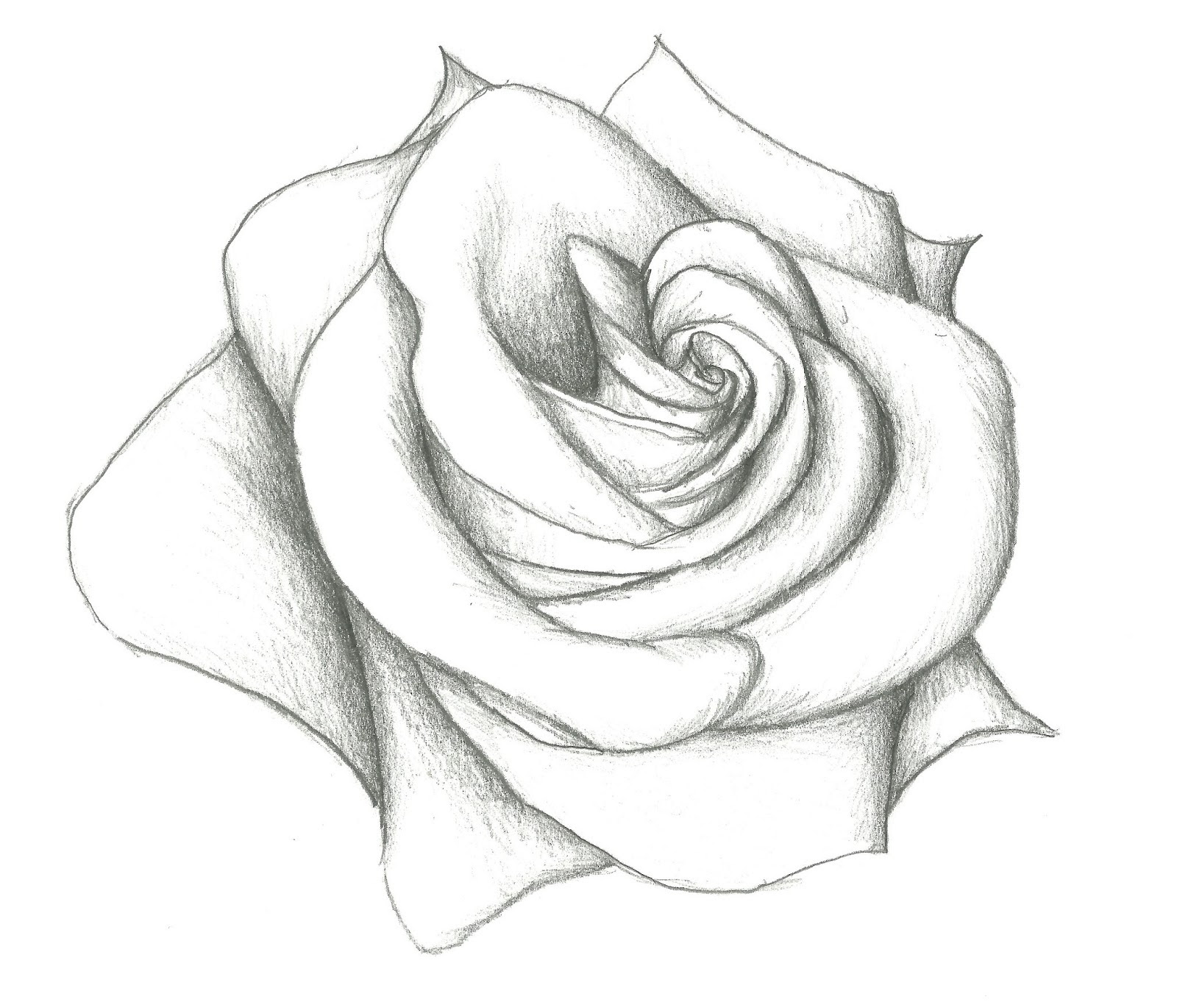 wallpapers Flower Shading Drawing Very Easy getdrawings com