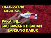 Terlengkap Coba Pakai Ini Bau Bawang Pada Badan Hilang Secara Permanen Ytnetral, Paling Seru!