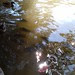 IMG_20121018_141602