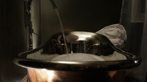 Paddocks House Review